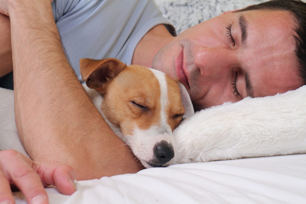 Is it Safe to Sleep With Your Pet? 5 Facts About Snoozing with Fido